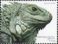 Lesser Antillean Iguana (Iguana delicatissima) 