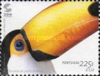 Common Toucan (Ramphastos toco)