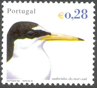 Little Tern (Sterna albifrons)