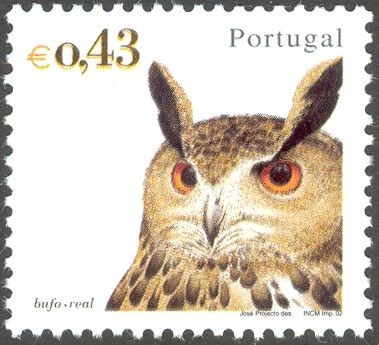 Eurasian Eagle-Owl (Bubo bubo)