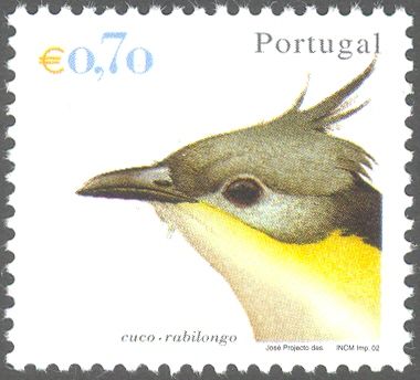 Great Spotted Cuckoo (Clamator glandarius)