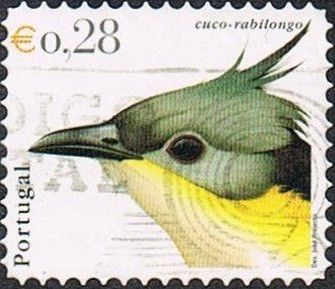 Great Spotted Cuckoo (Clamator glandarius)