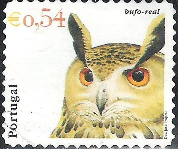Eurasian Eagle-Owl (Bubo bubo)