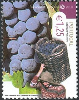 Alto Douro wine