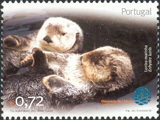 Sea Otter (Enhydra lutris)