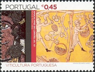Portuguese Viticulture