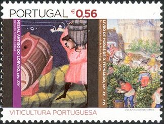 Portuguese Viticulture
