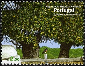 Nature Protection - The Environment - Chestnut Trees