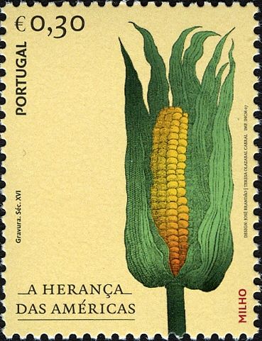 American Heritage - Maize