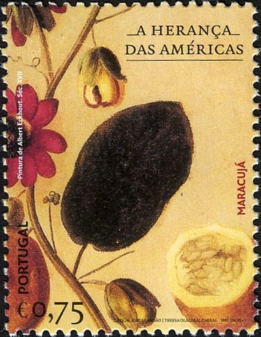 American Heritage - Passion Fruit
