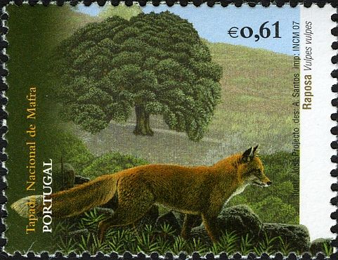 Red Fox (Vulpes vulpes)