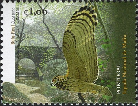 Eurasian Eagle-Owl (Bubo bubo)