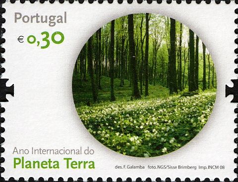 Environment & Conservation - Forests