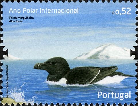 Razorbill (Alca torda)