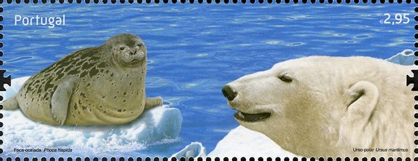 Ringed Seal (Phoca hispida), Polar Bear (Ursus maritimus)