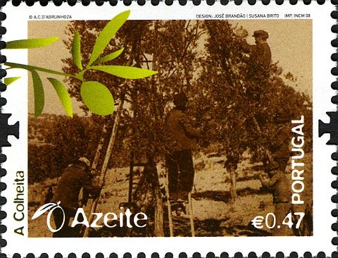 The Story of Olive Oil