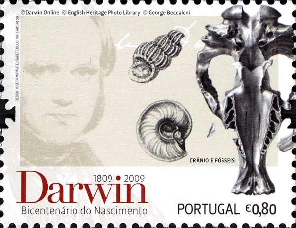 Animal Skulls and Fossil Snails