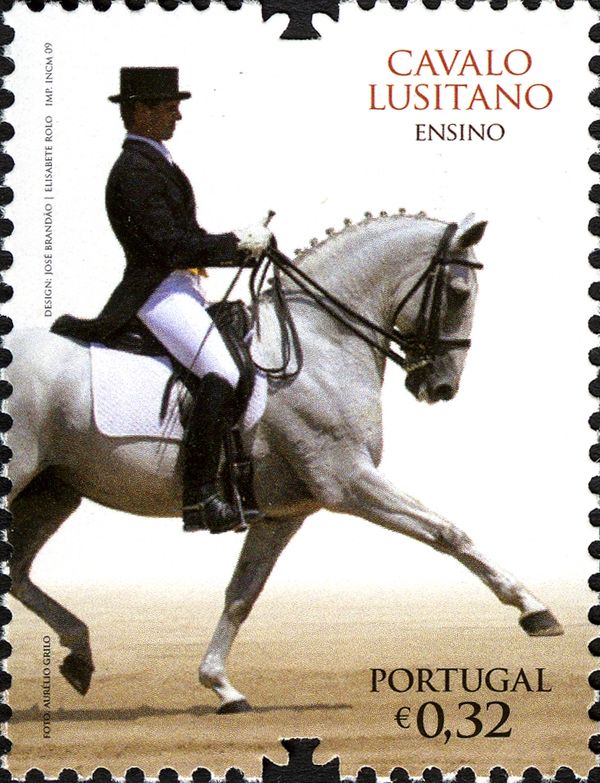The Lusitano Horse