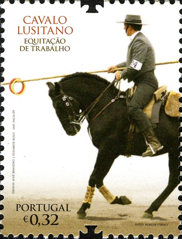 The Lusitano Horse