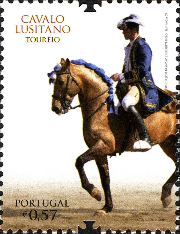 The Lusitano Horse