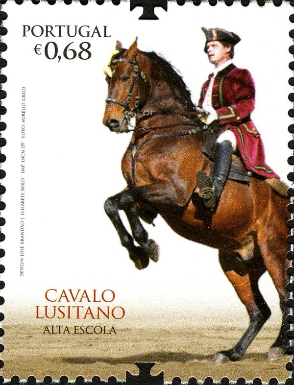 The Lusitano Horse