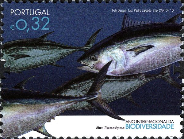 Atlantic Bluefin Tuna (Thunnus thynnus)