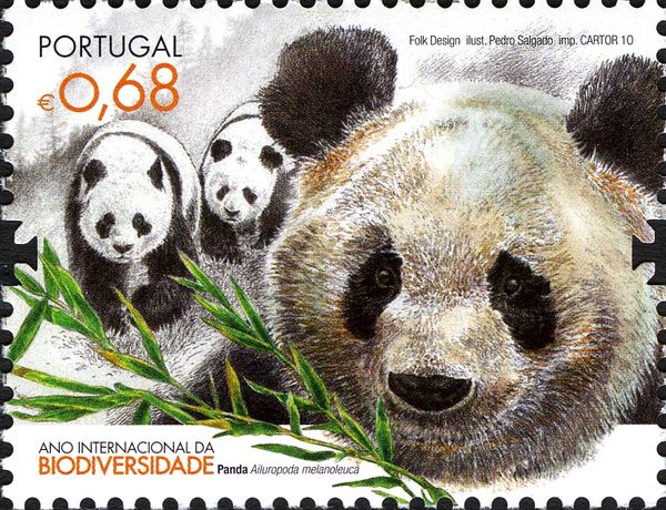 Giant Panda (Ailuropoda melanoleuca)