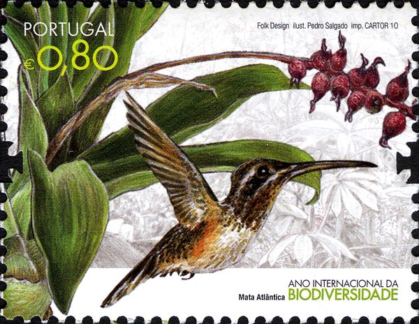 Minute Hermit (Phaethornis idaliae)