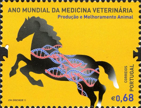 Produção e melhoramento animal