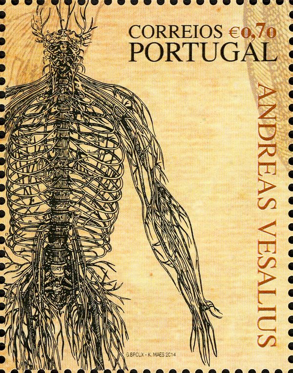 Andreas Vesalius - 500 Years - Nervous System