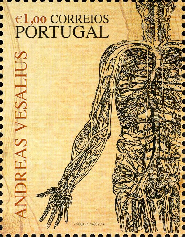 Andreas Vesalius - 500 Years - Blood Circulation