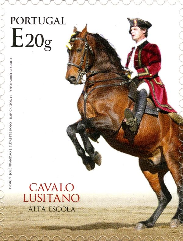 The Lusitano Horse