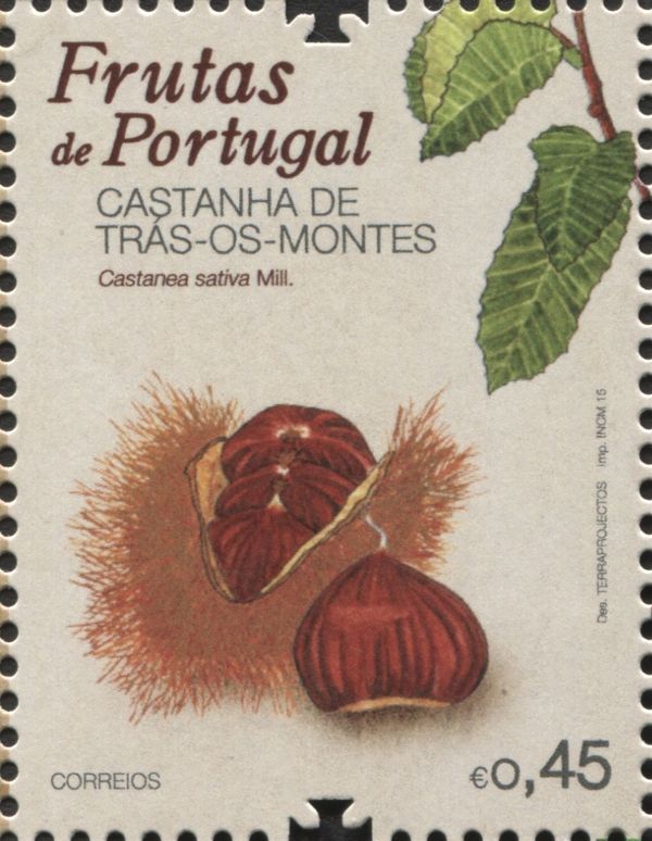 Castanea sativa