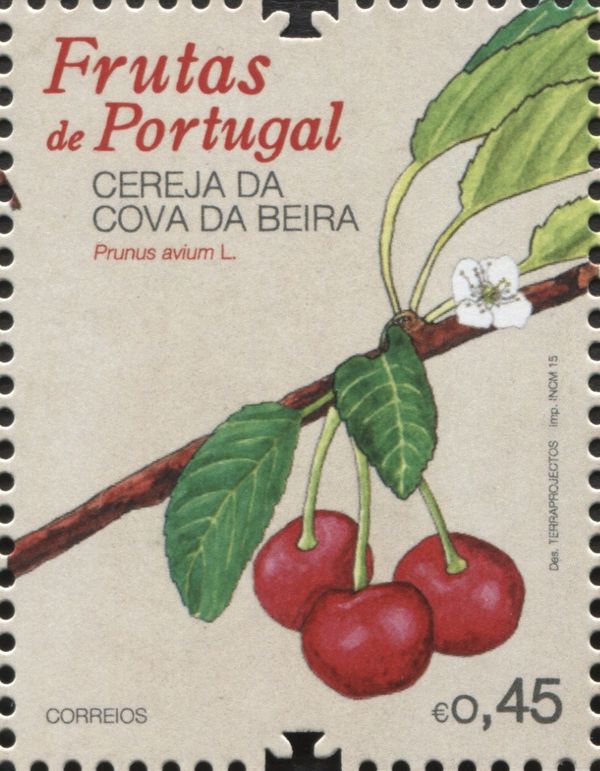 Prunus avium