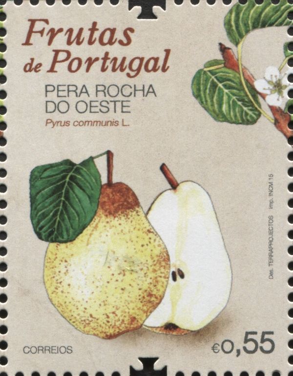 Pyrus communis