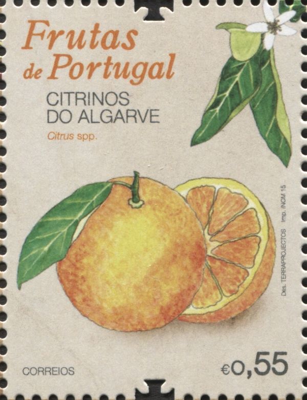 Citrus sinensis