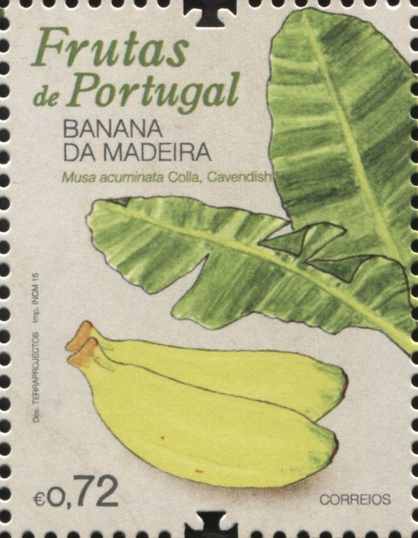 Musa paradisiaca