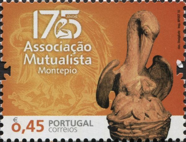 A history of 175 years