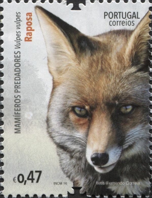 Fox (Vulpes vulpes)