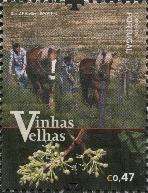 Old vineyards of Portugal