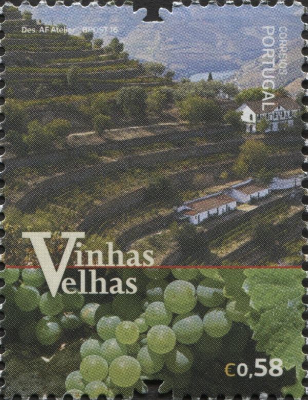 Old vineyards of Portugal