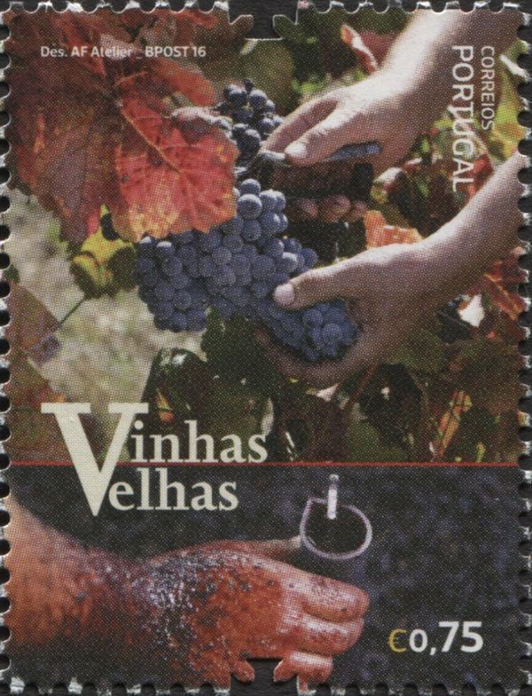 Old vineyards of Portugal