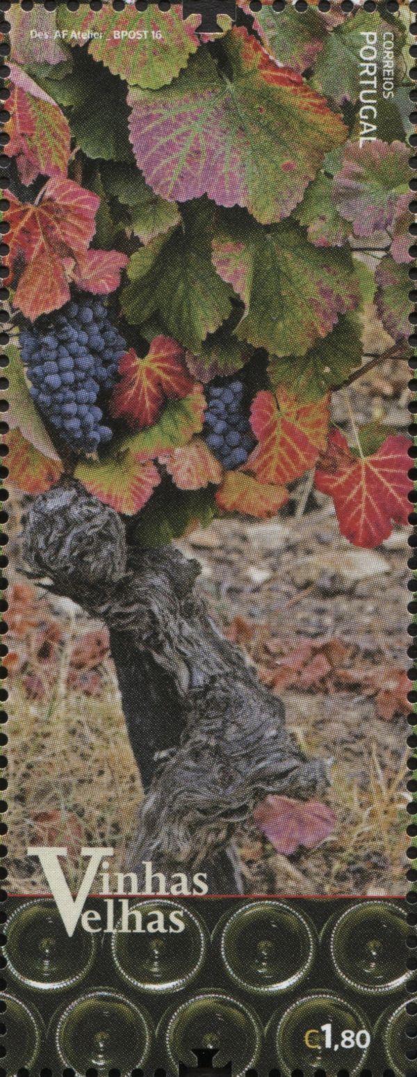 Old vineyards of Portugal