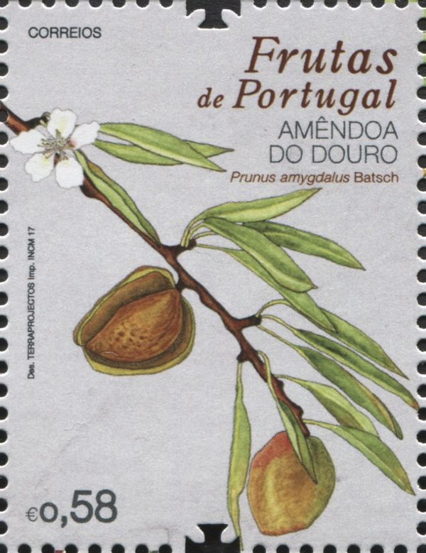 Douro Almond (Prunus amygdalus)