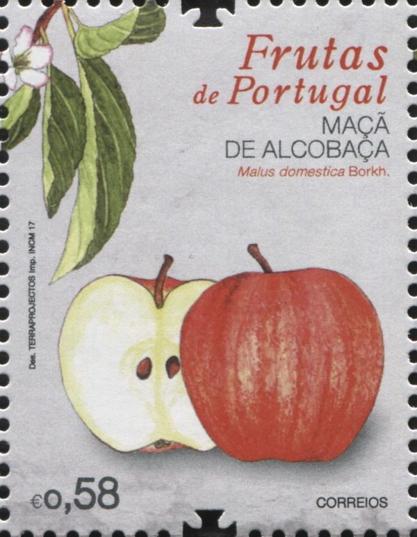 Alcobaca Apple (Malus domestica)
