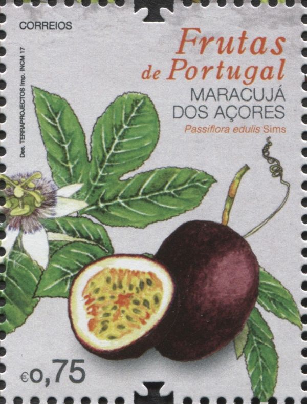 Azores Passion Fruit (Passiflora edulis)