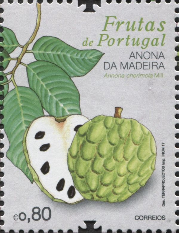 Madeira Custard Apple (Annona cherimola)