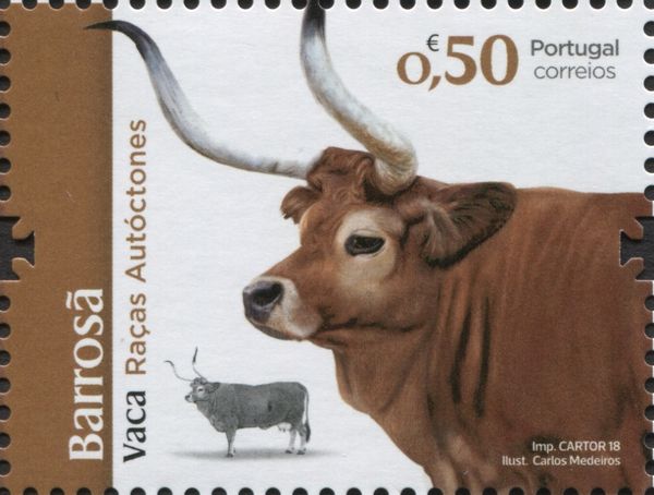 Barrosã
