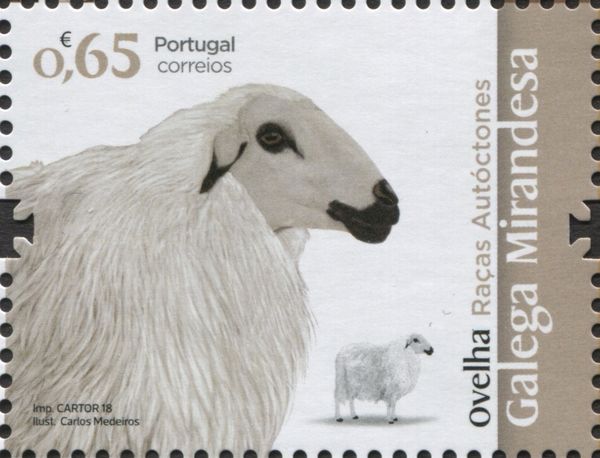 Galega Mirandesa