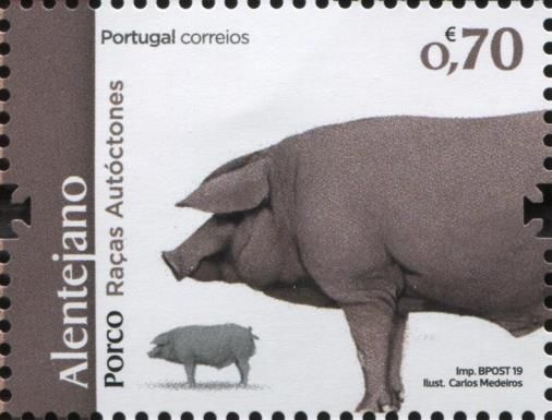 Alentejo Pig